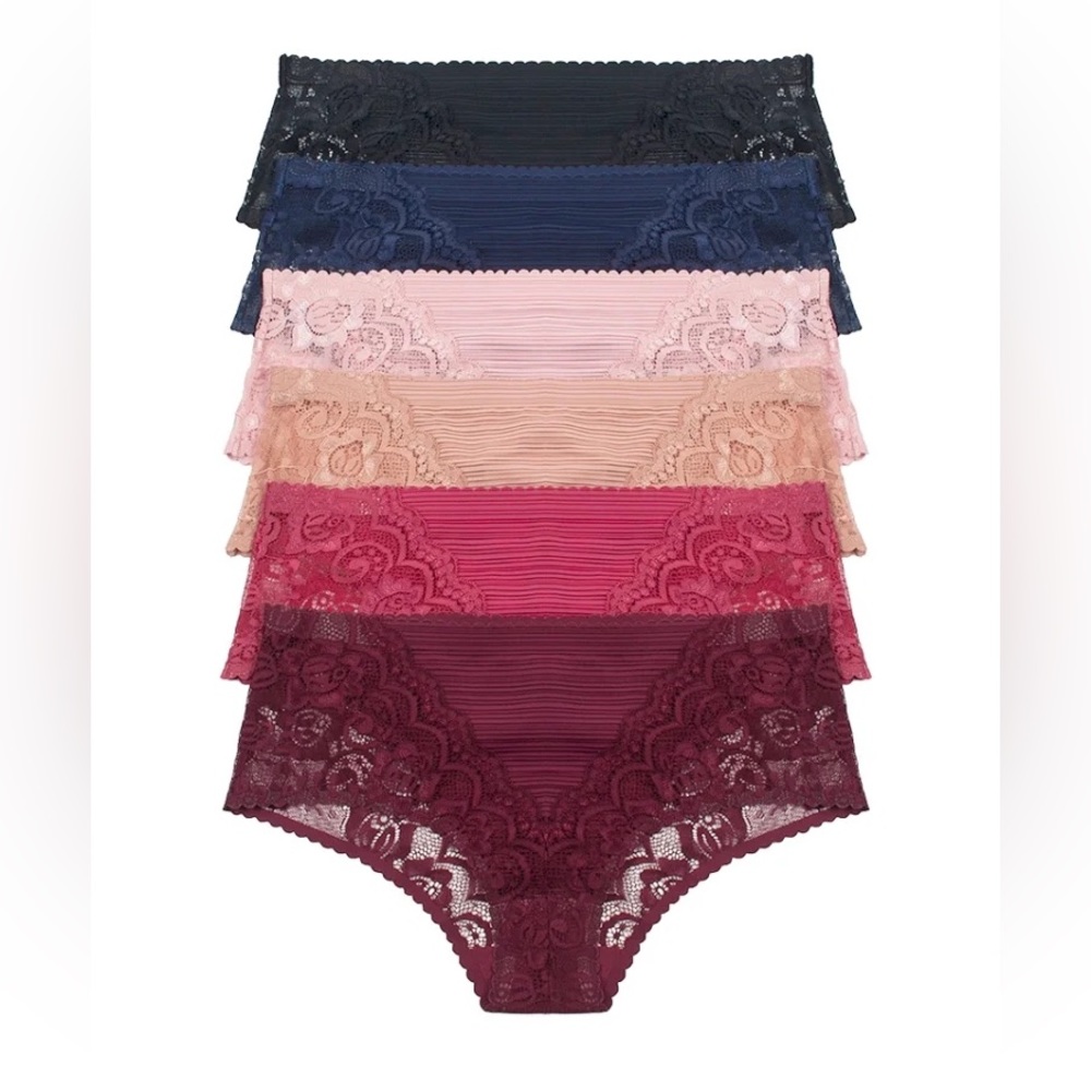 Pretty Lace Mesh Panties NEW